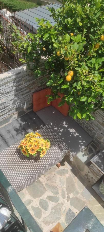 Shley House 1 Apartment Artemida  Bagian luar foto